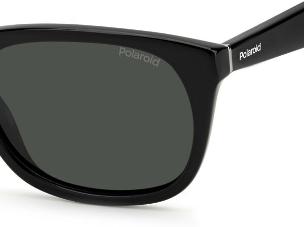 Polaroid Pld 2104/s/x 807m9 Erkek Polarize Güneş Gözlüğü